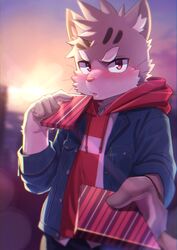  absurd_res anthro blush clothed clothing domestic_cat felid feline felis fur gift grey_body grey_fur hi_res holding_gift holding_object jacket kemono lens_flare lifewonders looking_at_viewer male mammal manadezimon offering_to_viewer open_mouth sitri_(tas) solo tokyo_afterschool_summoners topwear whiskers white_body white_fur 