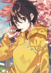  blouse breasts brown_eyes brown_hair candy cherry_blossoms commentary_request eating female food holding holding_candy holding_food hood hooded_jacket jacket long_sleeves looking_at_viewer medium_breasts open_mouth outdoors railing shirt short_hair solo tsukugu upper_body yellow_jacket 