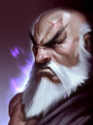  1boy bad_deviantart_id bad_id beard facial_hair gouken jimbobox long_hair male_focus nose old old_man scar solo street_fighter street_fighter_iv_(series) thick_eyebrows upper_body white_hair 