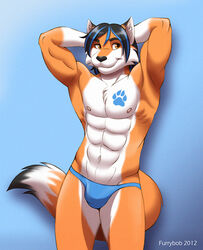  2012 abs alty anthro ass avoid_posting biceps big_muscles black_hair black_nose blue_background blue_markings bulge butt_heart canid canine clothed clothing digital_media_(artwork) footprint fox front_view fur furrybob gradient_background hair hands_behind_head leg_markings looking_at_viewer male mammal markings multicolored_body multicolored_fur muscular nipples orange_body orange_eyes orange_fur pawprint pawprint_tattoo pecs pink_nipples simple_background smile socks_(marking) solo speedo standing swimwear tattoo teasing topless two_tone_body two_tone_fur white_body white_fur 