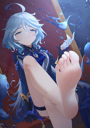  absurdres arm_support ascot asymmetrical_gloves bad_id bad_pixiv_id barefoot black_gloves blue_ascot blue_eyes blue_hair blue_jacket breasts chan_sang chinese_commentary closed_mouth commentary_request crossed_legs dutch_angle eyelashes feet female foot_focus foot_out_of_frame furina_(genshin_impact) genshin_impact gloves gold_trim gradient_hair hair_between_eyes highres jacket knee_up legs long_hair long_sleeves mismatched_gloves multicolored_hair sitting small_breasts smug soles solo thigh_strap toes underwater very_long_hair white_gloves 