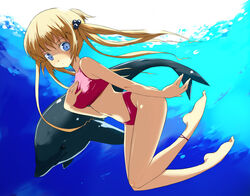  animal anklet bad_id bad_link bare_shoulders bikini blonde_hair blue_background blue_eyes dolphin female full_body hair_bobbles hair_ornament hand_on_own_chest highleg highleg_bikini jewelry long_hair looking_at_viewer navel original red_bikini shijou_sadafumi solo sports_bikini stomach swimsuit tankini twintails underwater 