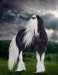  2017 ambiguous_gender ariesredlo black_body black_fur blaze_(marking) brown_eyes cloud depth_of_field detailed_background digital_media_(artwork) digital_painting_(artwork) draft_horse equid equine facial_markings feathering feral full-length_portrait fur grass head_markings hi_res hidalgo_(fursona) horse long_mane long_tail looking_at_viewer mammal mane markings multicolored_body multicolored_fur outside plant portrait quadruped shire sky snout solo tail two_tone_body two_tone_fur white_body white_fur white_mane white_markings white_tail 