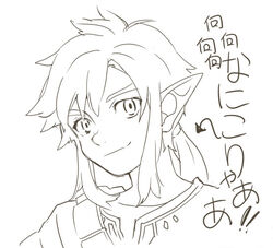  1boy champion&#039;s_tunic_(zelda) juby link male_focus monochrome pointy_ears ponytail portrait smile solo the_legend_of_zelda the_legend_of_zelda:_breath_of_the_wild translated 