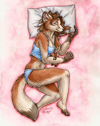 2009 anthro bed bird&#039;s-eye_view brown_hair canid canine closed_eyes clothed clothing deer feet female fox fur furniture hair high-angle_view mammal new_world_deer orange_body orange_fur plushie reindeer silentravyn sleeping solo summer_coat tail traditional_media_(artwork) underwear