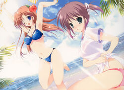  2girls :o absurdres armpits arms_up asagiri_mai beach bikini black_eyes blue_eyes blush breasts brown_hair cleavage cloud day dutch_angle flower hair_flower hair_ornament hair_ribbon highres looking_at_viewer medium_breasts mikeou multiple_girls navel ocean one_eye_closed outdoors palm_tree purple_hair ribbon scan shirt sky swimsuit takamizawa_natsuki tied_shirt tree tying yoake_mae_yori_ruri_iro_na 