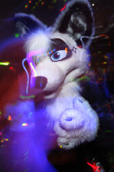 absurd_res anthro blue_eyes canid canine canis char_(photographer) clothing costume dancing female fursuit hi_res larka_novaine mammal rave real solo spots wolf