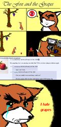 4chan aesop&#039;s_fables ambiguous_gender apple bodily_fluids canid canine comic crying english_text feral food fox fruit grape hi_res humor imtrollingyou mammal parody plant solo tail tears text the_fox_and_the_grapes the_truth