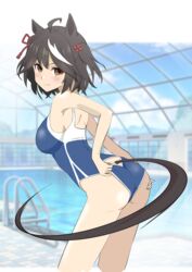  absurdres adjusting_clothes adjusting_swimsuit ahoge alternate_costume alternate_eye_color animal_ears ass bare_shoulders black_hair blue_one-piece_swimsuit blurry blurry_background blush breasts brown_eyes closed_mouth commentary_request competition_school_swimsuit competition_swimsuit double-parted_bangs ear_ornament female hair_between_eyes hair_ornament hands_on_own_ass highres horse_ears horse_girl horse_tail indoors kitasan_black_(umamusume) looking_at_viewer looking_back multicolored_hair one-piece_swimsuit pool sanche_(3che3) school_swimsuit skylight skylight_(architecture) smile solo streaked_hair swimsuit tail two-tone_hair two_side_up umamusume v-shaped_eyebrows white_hair window 