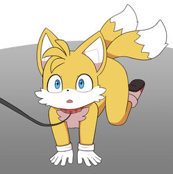  2023 all_fours ambiguous_gender anthro blue_eyes canid canine clothing collar footwear fox fur gloves handwear hi_res leash mammal monotone_clothing monotone_gloves monotone_handwear mostly_nude open_mouth sega solo sonic_the_hedgehog_(series) sum tail tails two_tone_tail white_body white_clothing white_fur white_gloves white_handwear white_tail 