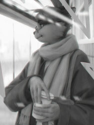  anthro bus_stop clothing coat coffee_cup container cup domestic_cat felid feline felis hi_res male mammal scarf solo starpaw_(breadyslab) terry_grimm topwear trans_(lore) trans_man_(lore) 