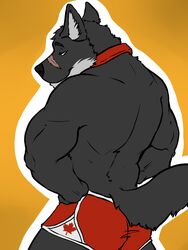 3:4 amwulf anthro biceps big_muscles bottomwear canid canine canis clothed clothing collar fur hands_on_hips hi_res hybrid looking_at_viewer looking_back male mammal muscular muscular_anthro muscular_male pose scar shorts solo topless wolf