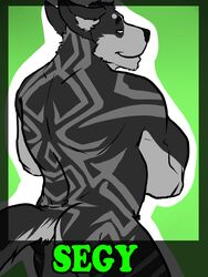 3:4 amwulf anthro biceps big_muscles canid canine canis crossed_arms domestic_dog fur hi_res husky looking_at_viewer looking_back male mammal muscular muscular_anthro muscular_male name_badge nordic_sled_dog nude segy solo spitz