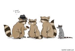 anthro cigar clothing gangster group hat headgear headwear humor liz_climo mafia male mammal murid murine procyonid pun raccoon rat rodent simple_background smoking text url white_background