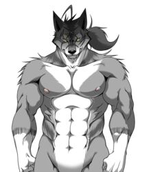 abs alpha_channel angry anthro athletic biceps big_muscles biped black_nose canid canine canis facial_markings fist flexing front_view frown fur gloves_(marking) grey_body grey_fur hair head_markings looking_at_viewer male mammal manly markings morenatsu muscular muscular_anthro muscular_male navel nipples nude pecs pose samoji scar simple_background solo standing ten_kodori transparent_background v-cut white_body white_fur wolf yellow_eyes