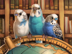  2023 alexpahomov avian beak bird black_eyes black_markings blue_body blue_feathers blue_markings book bookshelf budgerigar digital_media_(artwork) digital_painting_(artwork) feathers feral furniture globe group loriinae markings painting_(artwork) parakeet parrot perching trio true_parrot white_body white_feathers yellow_beak 