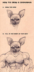 2012 anthro biceps canid canine canis chihuahua clothed clothing domestic_dog e1n educational english_text fur helpful how-to humor informative line_art male mammal monochrome muscular muscular_anthro muscular_male pecs sketch solo text topless toy_dog