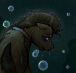 balddumborat blue_eyes brown_body brown_fur brown_hair bubble doctor_whooves_(mlp) earth_pony equid equine feral friendship_is_magic fur hair hasbro horse looking_back male mammal my_little_pony outside pony raining sad solo water wet