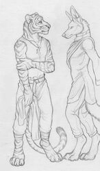 4_toes 5_fingers amon_(rukis) anthro belt black_and_white bottomwear canid canine canis claws clothing collar dhaval_(character) digitigrade duo feet felid fingers greyscale hindpaw jackal male mammal metal_collar monochrome pantherine pants paws retractable_claws rukis shirt side_view simple_background standing stripes tail tank_top tiger toe_claws toes topwear whiskers white_background