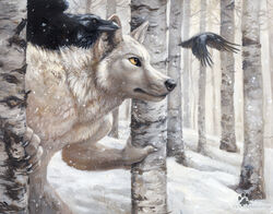 2013 anthro avian beak birch bird black_body black_feathers black_nose blotch canid canine canis claws corvid corvus_(genus) detailed_background feathered_wings feathers feral fluffy forest fur grey_body grey_fur group light_theme male mammal nature nude oscine outside passerine plant raven realistic snow snowing standing tree white_body white_fur wings winter wolf yellow_eyes