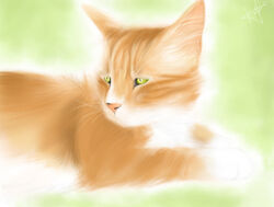 digital_media_(artwork) digital_painting_(artwork) domestic_cat felid feline felis feral fluffy green_eyes half-length_portrait lexii_(artist) lying male mammal on_front portrait quadruped relaxing sammy_(disambiguation) side_view soft_focus solo whiskers