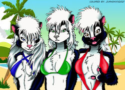  anthro beach bikini black_body black_fur clothing colored ear_piercing ear_ring female female/female fur group james_m_hardiman juanonyx lori_(jmh) mammal mephitid natasha_(jmh) onyx_(jmh) piercing ring_piercing seaside skunk summer sun swimwear white_body white_fur 