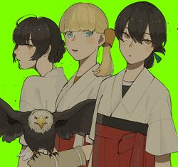  3girls bald_eagle bird bird_on_hand black_hair blonde_hair blue_eyes blunt_bangs double_bun dougi eagle gloves green_background grey_gloves hair_between_eyes hair_bun hakama highres japanese_clothes kantai_collection kasuga_maru_(kancolle) looking_at_viewer multiple_girls orange_eyes parted_lips ponytail red_hakama shin&#039;you_(kancolle) side_ponytail simple_background sukekiyo_(skky_0) upper_body yawata_maru_(kancolle) 