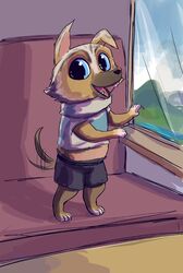  anthro blue_eyes canid canine canis chair chihuahua clothed clothing domestic_dog dreamworks floppy_ears furniture happy hi_res inside male mammal perrito_(puss_in_boots) puss_in_boots_(dreamworks) smile solo tail tail_motion tailwag toy_dog ultimatellurker window 