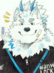  anthro bandage bandage_on_face blue_eyes canid canine canis clothing domestic_dog eyebrows fur jewelry lifewonders live_a_hero male mammal necklace nordic_sled_dog samoyed solo spitz thick_eyebrows topknot topwear toronoekaki traditional_media_(artwork) vest white_body white_fur yohack 