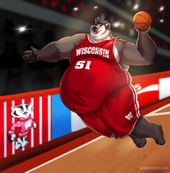  4_toes 5_fingers anthro badger ball basketball belly big_belly black_eyebrows black_hair black_inner_ear_fluff black_nose black_pawpads bottomwear bucky_badger claws clothed clothing college_football english_text eyebrows feet fingers fur gloves_(marking) grey_body grey_claws grey_fur hair hi_res inner_ear_fluff male mammal markings mascot mustelid musteline obese obese_anthro obese_male open_mouth overweight overweight_anthro overweight_male pawpads pink_tongue shibadoodles shirt shorts solo teeth text toes tongue topwear tuft university_of_wisconsin wisconsin wisconsin_badgers 