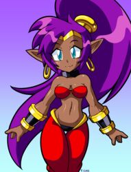  blue_eyes breasts brown_body brown_skin cleavage clothed clothing dark_body dark_skin ear_piercing ear_ring female genie hair humanoid humanoid_pointy_ears long_hair looking_at_viewer navel not_furry piercing ponytail purple_hair ring_piercing rongs1234 shantae shantae_(series) signature simple_background smile solo wayforward 