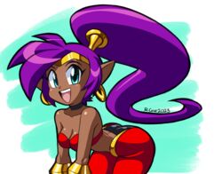  blue_eyes breasts brown_body brown_skin cleavage clothed clothing dark_body dark_skin ear_piercing ear_ring female genie hair hi_res humanoid humanoid_pointy_ears long_hair looking_at_viewer not_furry open_mouth open_smile piercing ponytail purple_hair ring_piercing rongs1234 shantae shantae_(series) signature simple_background smile solo wayforward 