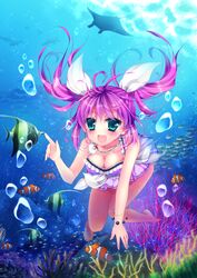  :d air_bubble aqua_eyes bad_id bad_pixiv_id barefoot blush bracelet breasts bubble clam cleavage clownfish collarbone coral diving female fish freediving hair_ribbon highres jewelry long_hair medium_breasts mikazuki_sara necklace one-piece_swimsuit open_mouth pink_one-piece_swimsuit purple_hair ribbon skate smile solo swimming swimsuit twintails umi_monogatari underwater urin_(umi_monogatari) 