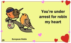  5:3 ambiguous_gender animated avian beak bird birdcheese chat_(bird) digital_media_(artwork) duo english_text european_robin feral heart_symbol holidays low_res old_world_flycatcher oscine passerine robin_(bird) saxicoline short_playtime text valentine&#039;s_day 