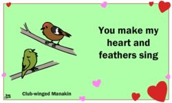  5:3 ambiguous_gender animated avian beak bird birdcheese black_eyes club-winged_manakin digital_media_(artwork) english_text feral heart_symbol holidays humor low_res manakin new_world_suboscine passerine short_playtime solo suboscine text valentine&#039;s_day 