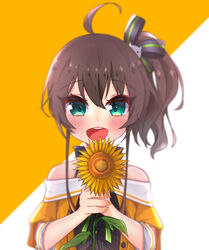  :d absurdres ahoge bare_shoulders black_ribbon blouse blush brown_hair camisole cat_hair_ornament commentary female flower green_eyes hair_between_eyes hair_ornament hair_ribbon halterneck highres holding holding_flower hololive looking_at_viewer natsuiro_matsuri natsuiro_matsuri_(1st_costume) open_mouth pinstripe_camisole pinstripe_pattern portrait ribbon shirt short_hair smile solo striped sunflower temari_maco virtual_youtuber yellow_shirt 