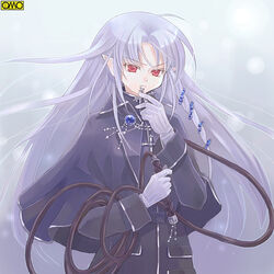  androgynous asura_fantasy_online capelet cross elf gender_request grey_hair kuga_tsukasa long_hair long_sleeves omc photoshop_(medium) pointy_ears solo whip 