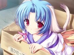  animal_ears box cardboard_box dog_ears female for_adoption game_cg haruhi_sarasa highres in_box in_container inakoi mikan_box non-web_source solo tenmaso 