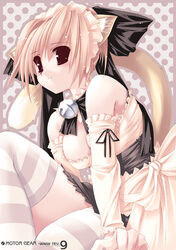  animal_ears cat_ears copyright_request female jian solo striped_clothes striped_thighhighs tail thighhighs 