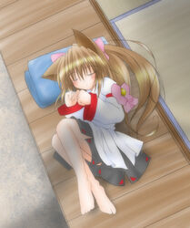  animal_ears artist_request blush brown_hair cat_ears emily_(ukagaka) female long_hair long_sleeves photoshop_(medium) sleeping solo ukagaka 