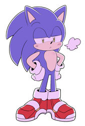  anthro biped blue_body blue_fur blush breath clothing eulipotyphlan footwear frown full-length_portrait fur gloves green_eyes half-closed_eyes hands_on_hips handwear hedgehog male mammal narrowed_eyes portrait sega shoes sikai simple_background soap_shoes solo sonic_the_hedgehog sonic_the_hedgehog_(series) standing white_background 