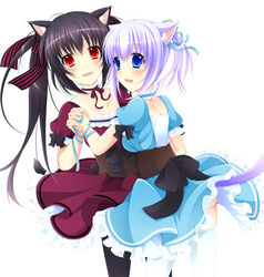  2girls :d animal_ears bad_id bad_pixiv_id black_hair blue_dress blue_eyes bow cat_ears cat_tail choker collarbone corset dress frilled_dress frills hair_ornament hair_ribbon hairbow holding_hands interlocked_fingers light_purple_hair long_hair looking_at_viewer looking_back multiple_girls open_mouth original petticoat photoshop_(medium) red_dress red_eyes ribbon ribbon_choker silver_hair smile tail thighhighs twintails white_background white_legwear yumemiya_subaru 