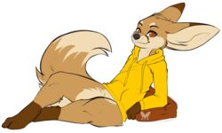  2020 anthro anthrofied arm_support bottomless brown_body brown_eyes brown_fur canid canine clothed clothing digital_media_(artwork) fennec_fox fox fur gloves_(marking) hi_res hoodie kuroodod leaning_on_elbow leg_markings looking_at_viewer male mammal markings sam_(changing_fates) simple_background smile socks_(marking) solo tail thegrapedemon thick_thighs topwear true_fox white_background 