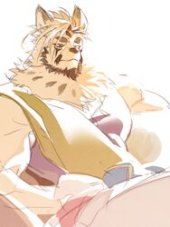  anothereidos_of_dragon_vein_r anthro beard blue_eyes canid canine canis clothing facial_hair fur hi_res male mammal muscular muscular_anthro muscular_male pecs robe solo wasp_(artist) white_body white_fur wolf zacharoff_(anothereidos_r) 