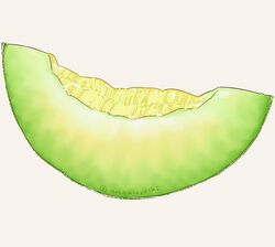  arinko_(a_ringo_hoppe) artist_name commentary_request food food_focus fruit green_theme grey_background honeydew_(fruit) jpeg_artifacts melon melon_slice no_humans original signature simple_background still_life twitter_username 