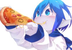  2019 4_fingers anthro aoino black_nose blue_clothing blue_eyes blue_hair blue_hoodie blue_pupils blue_topwear blush blush_lines canid canine cheese clothing dairy_products detailed detailed_food digital_media_(artwork) eating eating_food face_glint fingers food fox glistening glistening_eyes glistening_hair hair half-length_portrait hi_res holding_food holding_object holding_pizza hoodie kemono male mammal pepperoni_pizza pizza portrait pupils round_pupils shaded side_view simple_background simple_shading solo spica_(aoino) topwear two_tone_hoodie white_background white_clothing white_ears white_face white_hoodie white_topwear young young_anthro 