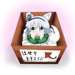  animal_ears bad_id bad_pixiv_id banned_artist bell bell_collar blush box cat_ears chibi collar dress for_adoption ghost green_dress green_eyes hair_ribbon in_box in_container kemonomimi_mode konpaku_youmu looking_up oerba_yun_fang oohirakeisuke open_mouth ribbon silver_hair sitting solo tears touhou translated trembling 