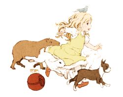  animal armadillo bird blonde_hair canine capybara commentary_request female feral_lemma highres lamb lolicon original photoshop_(medium) rabbit running sheep simple_background solo white_background 