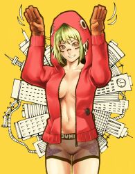  bad_id bad_pixiv_id boyshort_panties facial_tattoo female gloves green_eyes green_hair grin gumi hayadai highres hood hoodie matryoshka_(vocaloid) multicolored_eyes navel no_bra panties red_eyes smile solo tattoo underwear unzipped vocaloid 