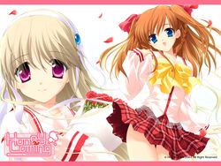  2girls blonde_hair blue_eyes bouquet bow braid clarissa_satsuki_maezono flower hair_ribbon highres honeycoming_royalsweet kamijou_asahi long_hair matsushita_makako multiple_girls orange_hair petals photoshop_(medium) pink_eyes plaid plaid_skirt rakko_(makarakko) ribbon school_uniform side_braid skirt smile wind 